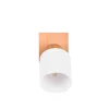Trio Lighting Spotlights & Downlights-Assam Spotlight 1-os E14 Tre/Hvit
