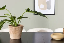 Venture Home Astrid Matgruppe 200 cm Rektangulær med 6 Edina Stoler