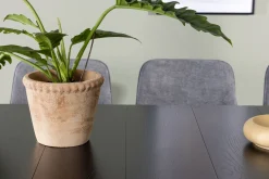 Venture Home Astrid Spisegruppe 200 cm Rektangulær med 6 Rosie Stoler
