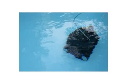 Swim & Fun Rengjøring Til Basseng-Basengrobot Scooby Svart