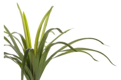 Kunstige Planter-Berden Kunstig potteplante 147 cm Dracaena anita Grønn