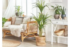 Kunstige Planter-Berden Kunstig potteplante 147 cm Dracaena anita Grønn