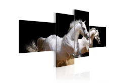 Lerretsbilder|Lerretsbilder-Bilde Animal World- White Horses Galloping 200x90