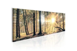 Lerretsbilder|Lerretsbilder-Bilde Autumn Retreat 150x50 Flerfärgad,Grønn