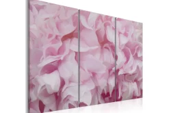 Lerretsbilder|Lerretsbilder-Bilde Azalea Rosa 120x80 Lyserød