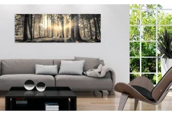 Bilde Forest Sun 150x50