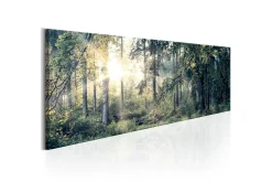Bilde Morning Magic 150x50