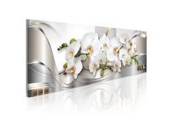 Lerretsbilder|Lerretsbilder-Bilde Orchids Ii 150x50 Hvit