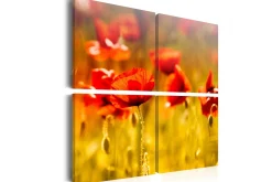 Lerretsbilder|Lerretsbilder-Bilde Sommertid 80x80 Orange