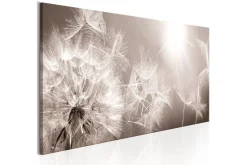 Lerretsbilder|Lerretsbilder-Bilde Summer Dandelions 135x45 Beige