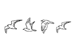 Birds Veggdekor