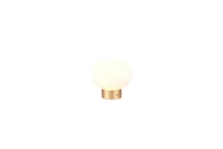 Trio Lighting Nattbordslampe|Bordlampe-Bordlampe TRIO Earl Matt messing/hvit Hvit,Messing