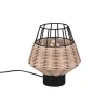 Trio Lighting Taklampe|Kjøkkenlampe-Borka Bordlampe E27 Rotting