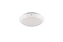 Trio Lighting Bringardner Plafond