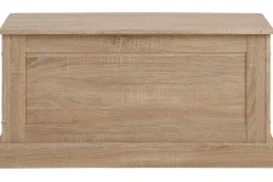 Loft24 Oppbevaringskiste-Dareia Kiste 90 cm Brun