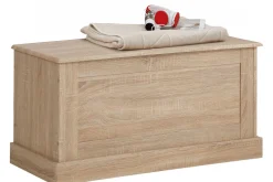 Loft24 Oppbevaringskiste-Dareia Kiste 90 cm Brun