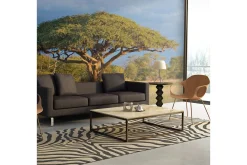 Tapeter-Fototapet African Akacia Tree Hwange National Park 250x193