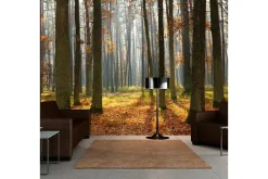 Fototapet Autumn Trees 350x270