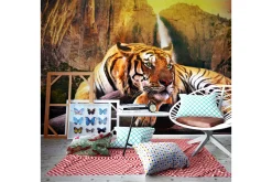 Tapeter-Fototapet Beauty And The Beast 400x309