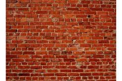 Tapeter-Fototapet Brick 250x193