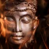 Fototapet Buddha Fire Of Meditation 300x231