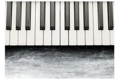 Tapeter-Fototapet By Chopin Gray Stone 250x175