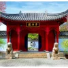 Tapeter-Fototapet Chinese Botanical Garden 250x193