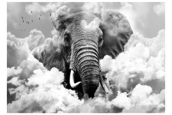 Tapeter-Fototapet Elephant In The Clouds Black And White 150x105