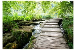 Fototapet Forest Path 400x280