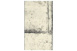 Fototapet Love The Concrete 50x1000