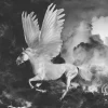 Tapeter-Fototapet Pegasus On The Road To Mount Olympus 250x193