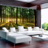 Rammer|Tapeter-Fototapet Spring Morning In The Forest 400x280