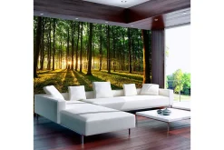 Rammer|Tapeter-Fototapet Spring Morning In The Forest 400x280