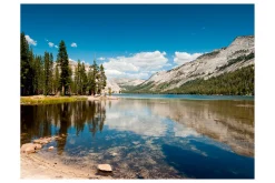 Fototapet Tenaya Lake Yosemite National Park 250x193