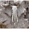 Tapeter-Fototapet The Bridge Of Time South Africa 400x280