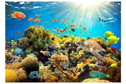 Fototapet Underwater Land 400x280