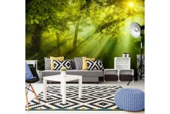 Fototapet XXL In A Secret Forest II 500x280