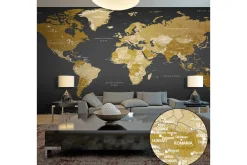 Fototapet XXL Verdenskart Modern Geography II 500x280