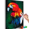 Male Selv-Gjør-det-selv Maleri Parrot 40x60 cm