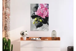 Male Selv-Gjør-det-selv-maleri Rosa orkide 40x60 cm