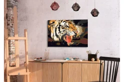 Gjør-det-selv Maleri Tigerbrøl 60x40 cm