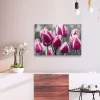 Gjør-det-selv Maleri Tulip Field 60x40 cm