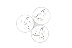 Trio Lighting Kjøkkenlampe|Vinduslampe-Groovy LED-Taklampe 3-os Matthvit/Krom