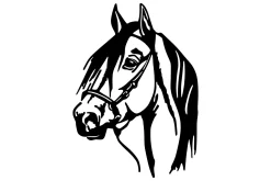 Horse Head Veggdekor
