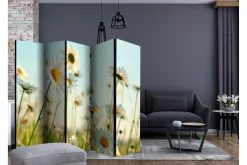 Kadira Romdeler 225x172
