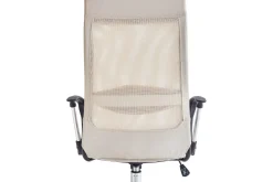 Kontorstol & Skrivebordsstol-Kontorstol Pioneer Beige,Sølv,Svart