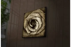 Lerretsbilde med LED-belysning 40x40 cm - Vakker rose med vanndråper