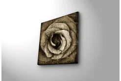 Lerretsbilde med LED-belysning 40x40 cm - Vakker rose med vanndråper