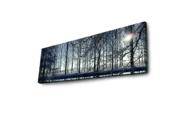 Lerretsbilder|Lerretsbilder-Lerretsbilde med LED-belysning 30x90 cm - Vinterlandskap med snødekte trær og en svak solstråle Flerfärgad