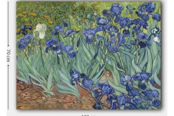 Lerretsbilder|Lerretsbilder-Lerretsbilde 70x100 cm - Fargerik samling av irisblomster i forskjellige blånyanser Flerfärgad